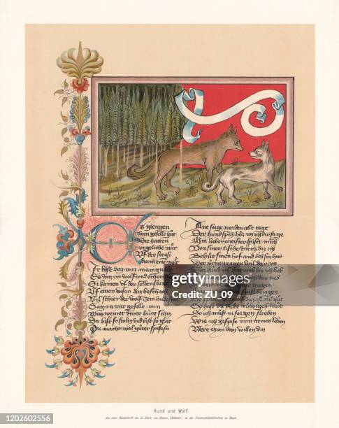 dog and wolf, fable by ulrich boner (ca.1349), facsimile, 1897 - writing literature stock illustrations