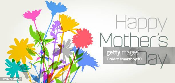 mothers day flowers - carnation flower stock illustrations