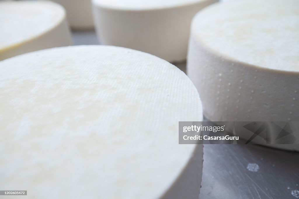 Vertical Close-up View of Freshly Made Cheese Wheels - stock photo