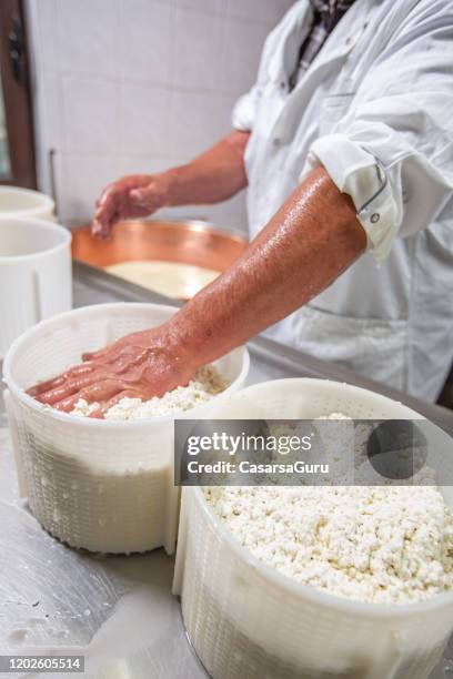 unrecognizable senior cheese maker filling up plastic containers with curd cheese - stock photo - quark stock pictures, royalty-free photos & images