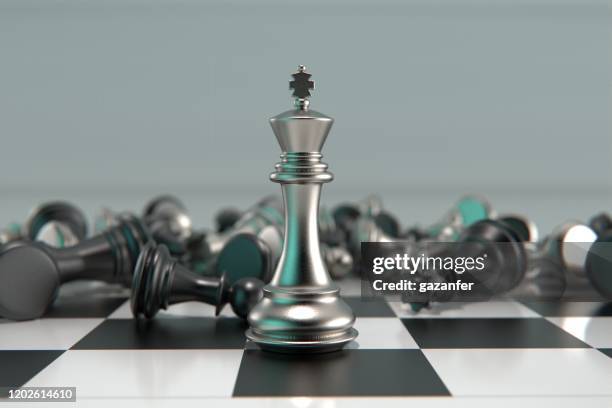 3d rendered metal chess pieces - king imagens e fotografias de stock