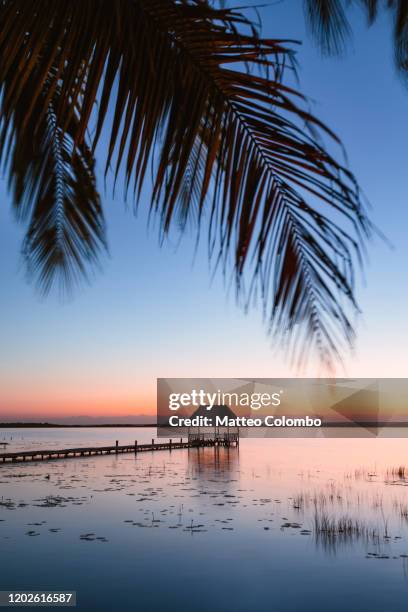 pier at sunset, laguna bacalar, mexico - strohgedeckte strandhütte stock-fotos und bilder
