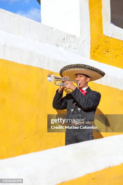 mariachi man playing trumpet, izamal, mexico - tradición fotografías e imágenes de stock