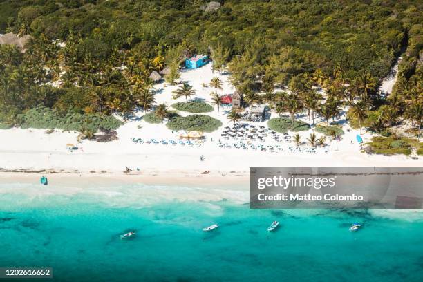 aerial of riviera maya near playa del camren, quintana roo, mexico - tulum mexiko bildbanksfoton och bilder