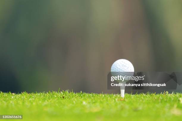 close up of golf ball on a tee. - golf tee ストックフォトと画像