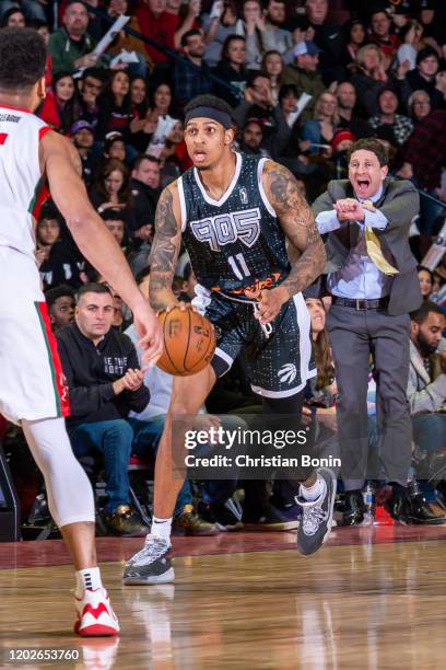 February 22: Devin Robinson of the Mississauga Raptors 905 dribbles the ball up court against the Maine Red Claws at the Paramount Fine Foods Centre...