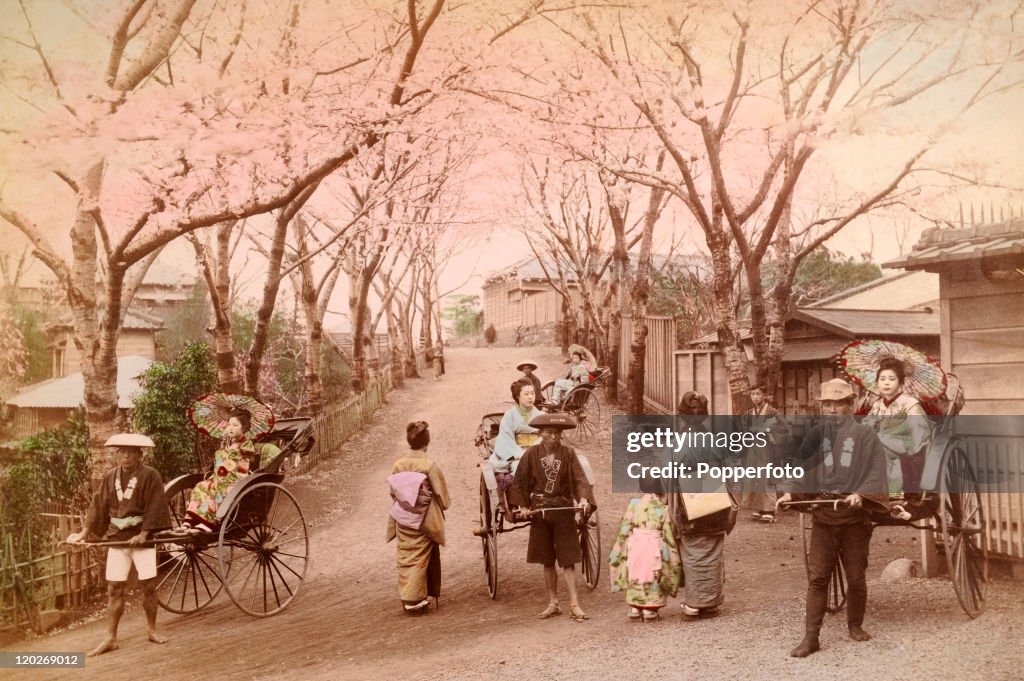 Street Scene In Kobe