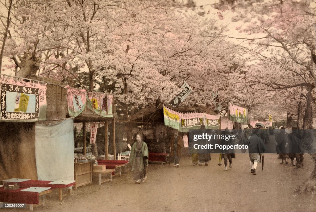 Tea Houses On The Sumida In Tokyo