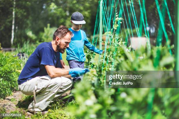 father and son in a greenhouse - 2 peas in a pod stock pictures, royalty-free photos & images