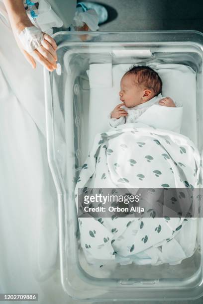 neonato addormentato in culla ospedale - culla foto e immagini stock