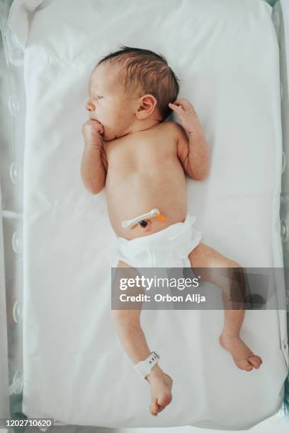 newborn baby sleeping in hospital bassinet - premature baby incubator stock pictures, royalty-free photos & images