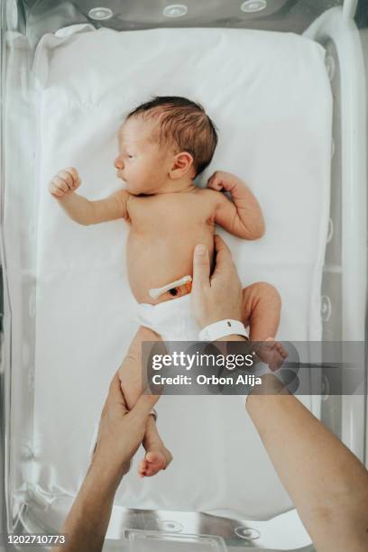 neugeborene schlafen im krankenhaus stubenwagen - premature baby stock-fotos und bilder
