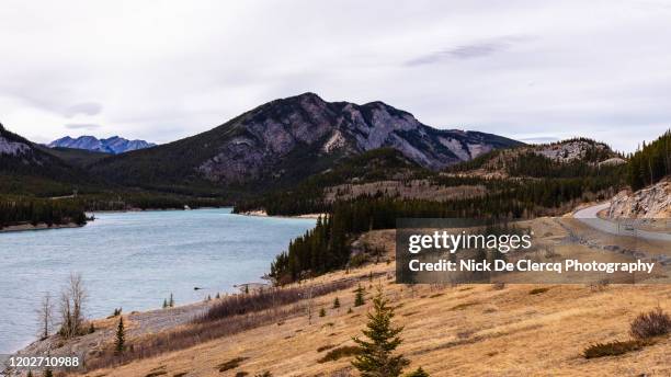 kananaskis trail - kananaskis stock pictures, royalty-free photos & images