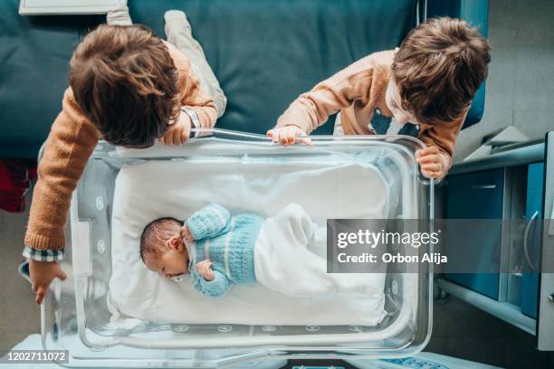 de broers bekijken nieuwe babybroer in het ziekenhuiswieg - broers en zussen stockfoto's en -beelden