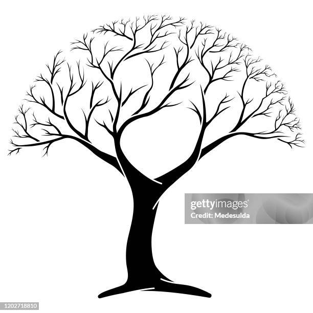 tree symbol - cedar tree stock illustrations