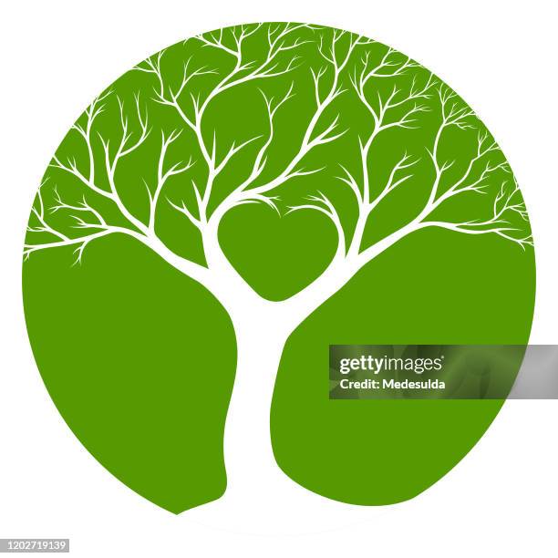 tree symbol vector - cedar tree isolated stock illustrations