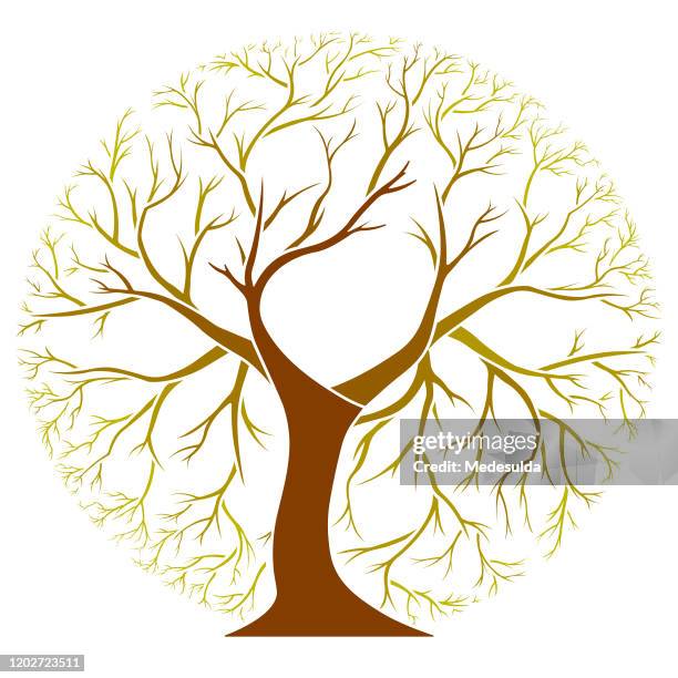 tree symbol vector - oak tree stock illustrations