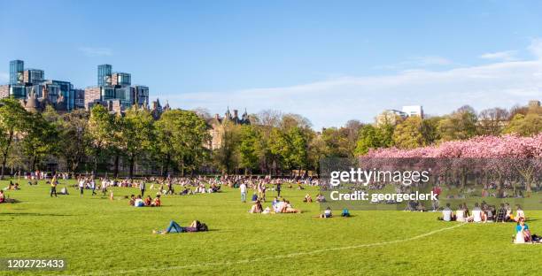 the meadows, edinburgh in warm weather - crowded park stock pictures, royalty-free photos & images