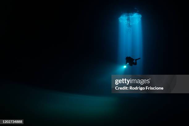 divers exploring cenote maravilla, mexico - diepzeeduiken stockfoto's en -beelden