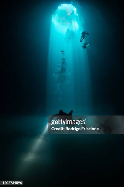 divers exploring cenote maravilla, mexico - deep sea diving stockfoto's en -beelden