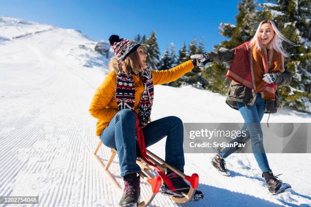 4,887 Sled Ride Stock Photos, High-Res Pictures, and Images - Getty Images