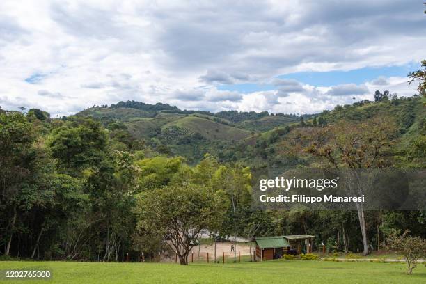 alto de las piedras - huila stock pictures, royalty-free photos & images