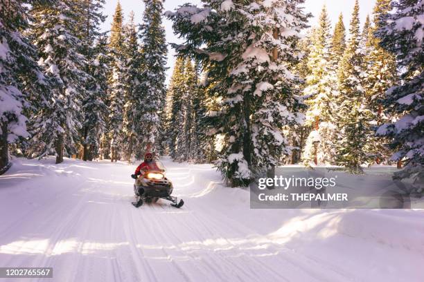 motormotor in colorado, usa - snowmobiling stock-fotos und bilder