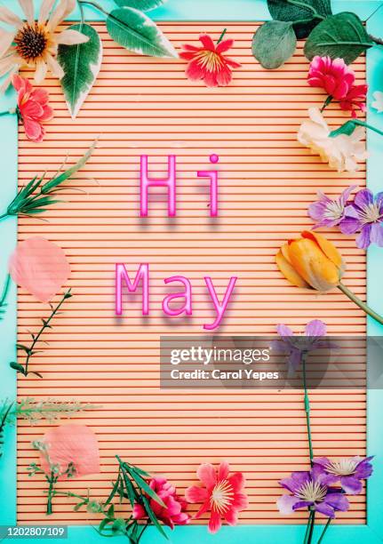 hi may text on wooden banner with flowers - table font view stock pictures, royalty-free photos & images