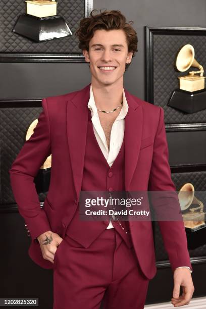 Shawn Mendes attends the 62nd Annual Grammy Awards at Staples Center on January 26, 2020 in Los Angeles, CA.
