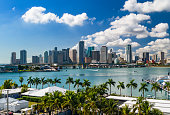 Miami Downtown Skyline With Palm Trees, Elevated View