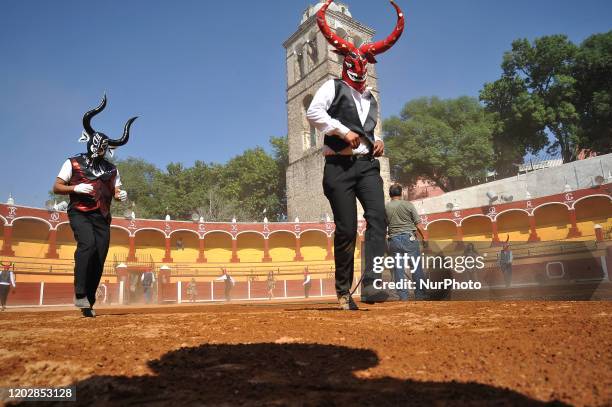 Dancers called Huehues take part during the traditional Carnival of Tlaxcala, disguised in traditional costumes of the region and wooden masks...