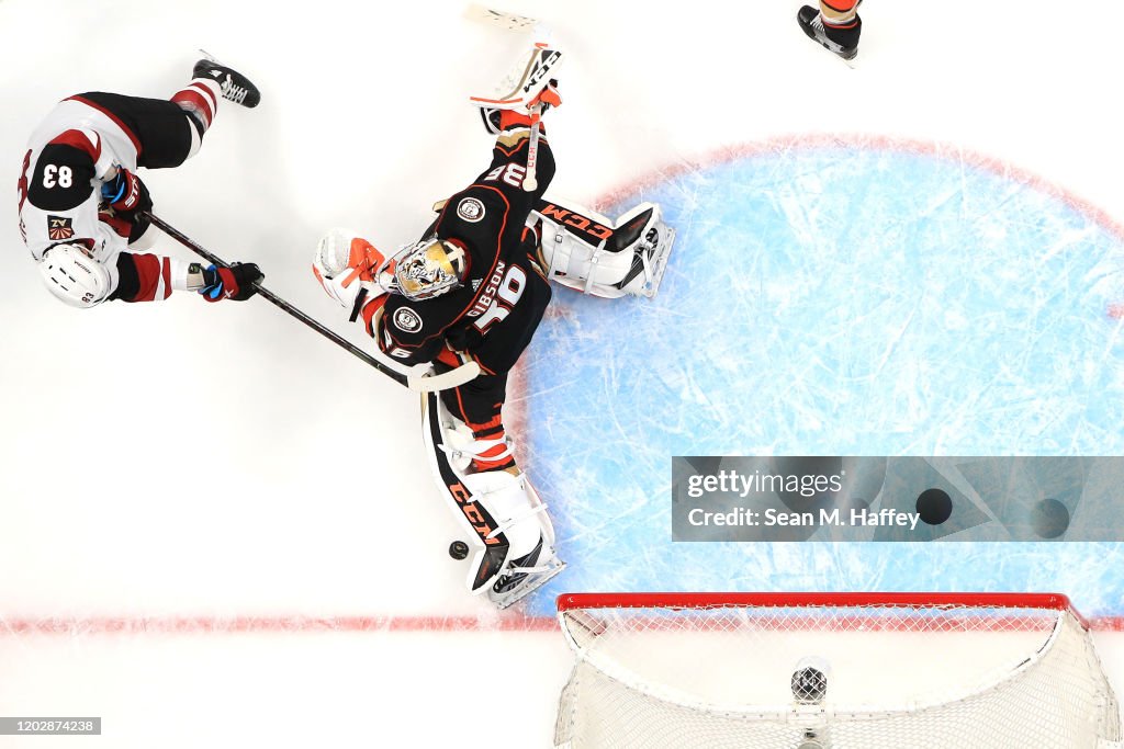 Arizona Coyotes v Anaheim Ducks