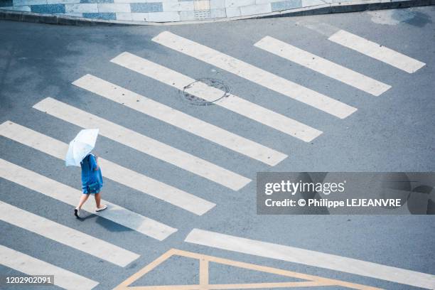 woman with a blue umbrella walking on a crosswalk - zona de peatones fotografías e imágenes de stock