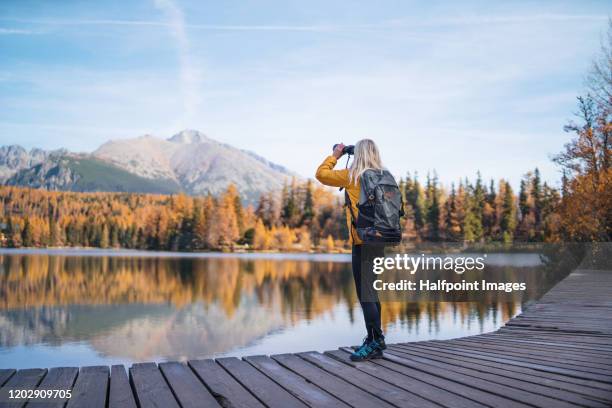 a senior woman hiker in autumn nature, using binoculars. - tatra stockfoto's en -beelden