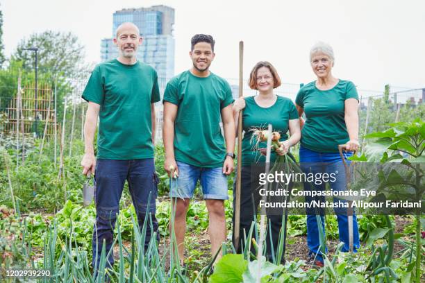 portrait of volunteers in community garden - green tee stock pictures, royalty-free photos & images