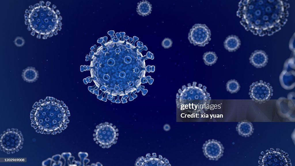 Coronavirus structure