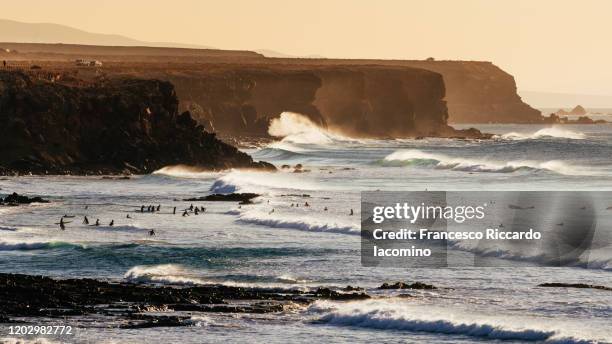 el cotillo cliffs and beaches with waves and surfers at sunset, fuerteventura - fuerteventura bildbanksfoton och bilder