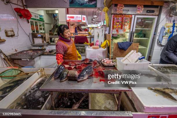 Shanghai, China, 26th Jan 2020, A women store merchant stands behind counter with cut up fish at seafood market.