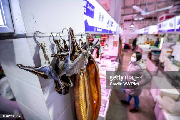 Shanghai, China, 26th Jan 2020, Skulls of moray eel hang on display in seafood market.
