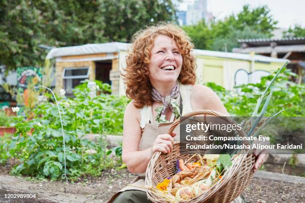 smiling woman holding basket of fresh vegetables in community garden - white collar worker fotografías e imágenes de stock