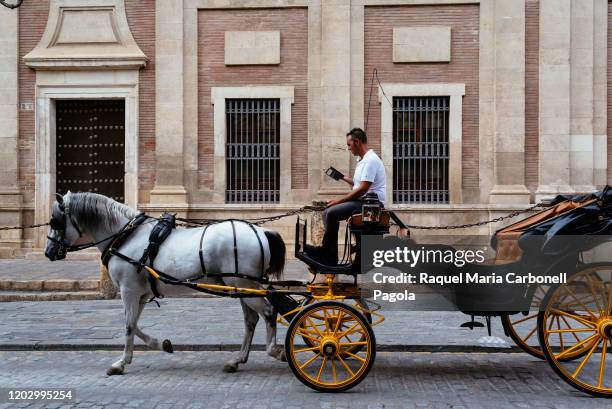 Horse carriage on the streets of Seville.