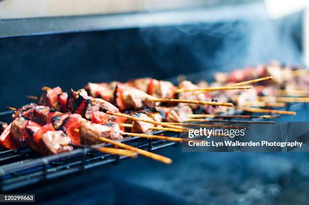 barbecue lunch - shish kebab stock pictures, royalty-free photos & images
