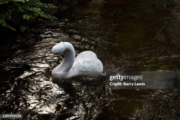 Penis swan sculture floating on the river 20th September 2019 in the the trendy neighbourhood of Grunerlokka, Oslo, Norway in. Situated opposite...