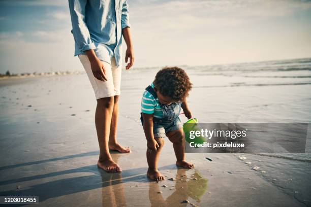happy summer holidays with the family - happy holidays family stock pictures, royalty-free photos & images