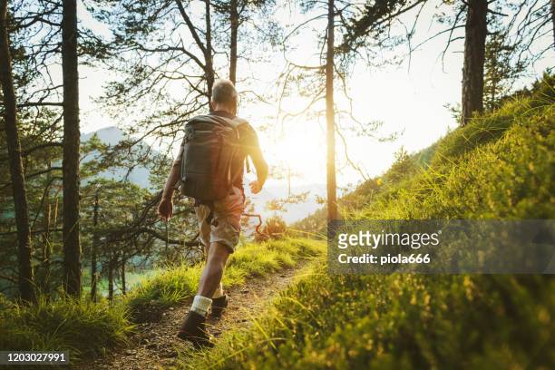 l'uomo anziano traccia escursioni in una foresta di montagna, nelle alpi d'italia - escursionismo foto e immagini stock