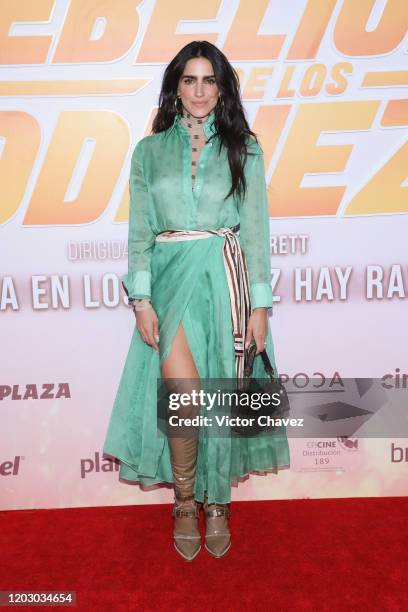 Barbara de Regil attends "La Rebelion de los Godinez" Mexico City premiere red carpet at Cinepolis Plaza Carso on February 24, 2020 in Mexico City,...