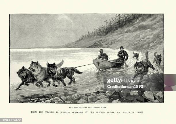 dog team pulling boat on the yenisei river, russia, 1890s - eskimo dog stock illustrations