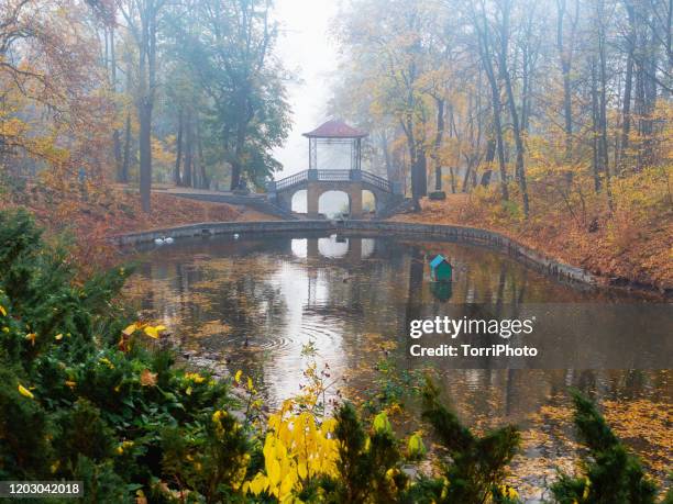 landscape with chinese bridge among colorful trees in autumn park - autumn kyiv stock pictures, royalty-free photos & images