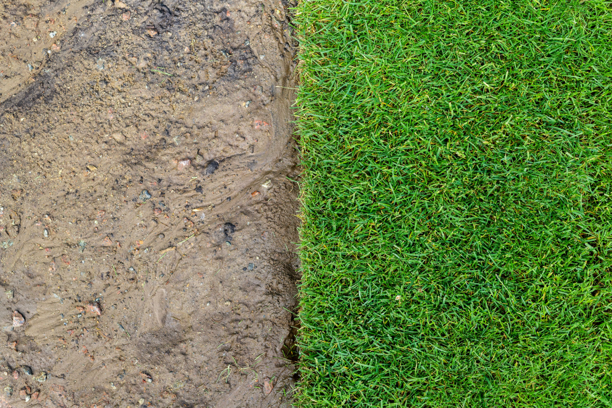 backyard before and after