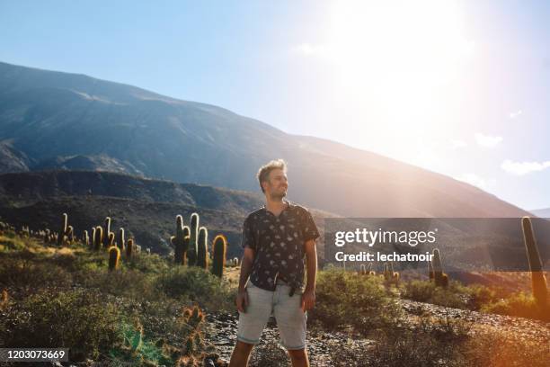 tourist man standing in the field of cacti - salta argentina stock pictures, royalty-free photos & images